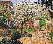 Flowering Plum Tree Eragny Camille Pissarro